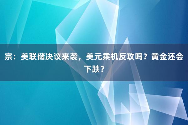 宗：美联储决议来袭，美元乘机反攻吗？黄金还会下跌？