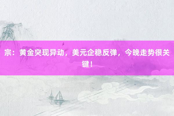 宗：黄金突现异动，美元企稳反弹，今晚走势很关键！