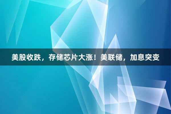 美股收跌，存储芯片大涨！美联储，加息突变