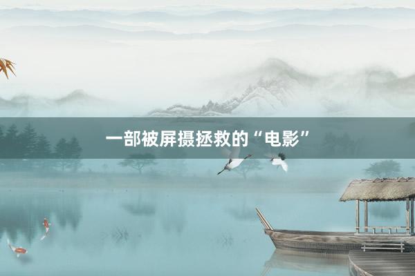 一部被屏摄拯救的“电影”