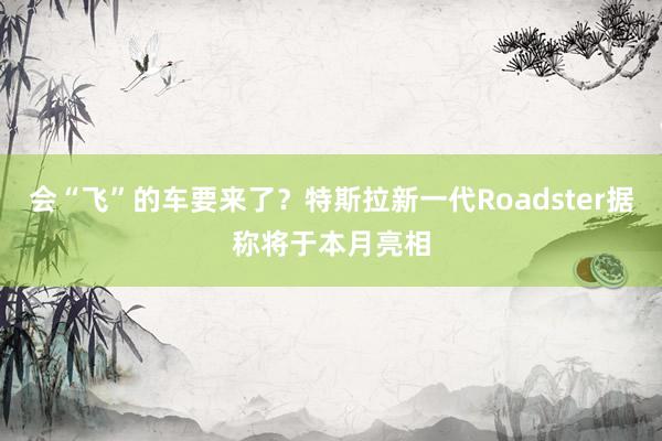 会“飞”的车要来了？特斯拉新一代Roadster据称将于本月亮相