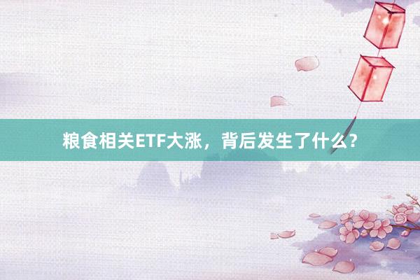 粮食相关ETF大涨，背后发生了什么？