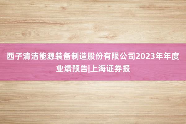 西子清洁能源装备制造股份有限公司2023年年度业绩预告|上海证券报