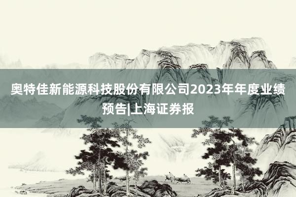 奥特佳新能源科技股份有限公司2023年年度业绩预告|上海证券报