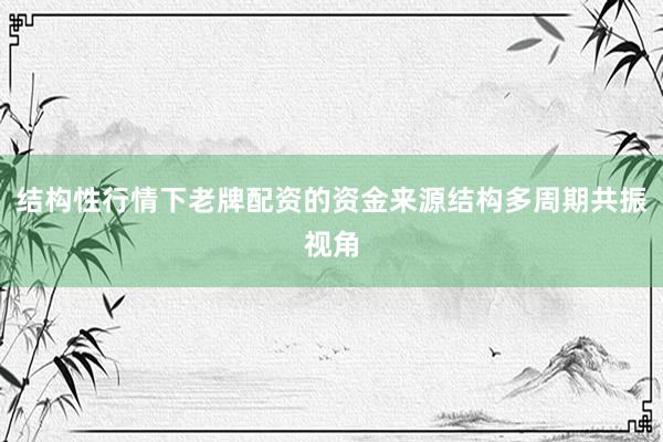 结构性行情下老牌配资的资金来源结构多周期共振视角