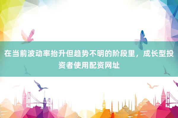 在当前波动率抬升但趋势不明的阶段里，成长型投资者使用配资网址