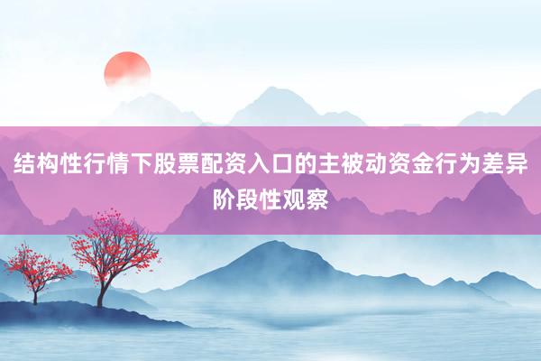 结构性行情下股票配资入口的主被动资金行为差异阶段性观察