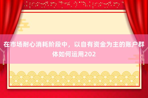 在市场耐心消耗阶段中，以自有资金为主的账户群体如何运用202