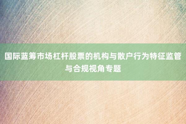国际蓝筹市场杠杆股票的机构与散户行为特征监管与合规视角专题
