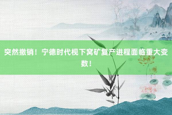 突然撤销！宁德时代枧下窝矿复产进程面临重大变数！