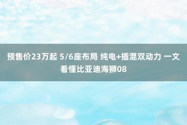 预售价23万起 5/6座布局 纯电+插混双动力 一文看懂比亚迪海狮08