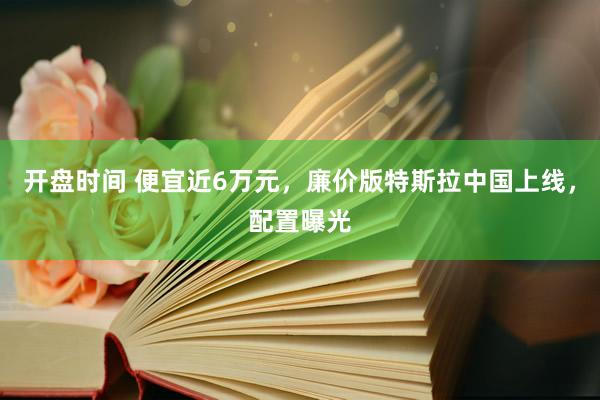 开盘时间 便宜近6万元，廉价版特斯拉中国上线，配置曝光