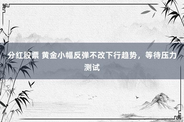 分红股票 黄金小幅反弹不改下行趋势，等待压力测试