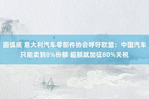 圆弧底 意大利汽车零部件协会呼吁欧盟：中国汽车只能卖到8%份额 超额就加征80%关税