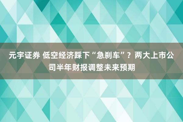 元宇证券 低空经济踩下“急刹车”？两大上市公司半年财报调整未来预期